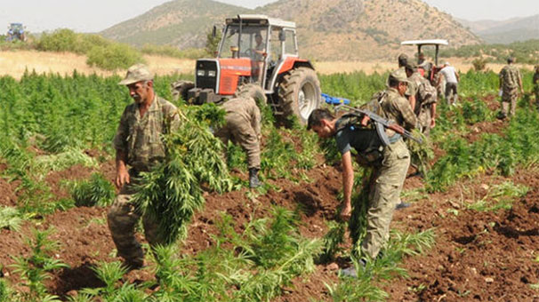 PKK’nın yıllık uyuşturucu geliri 1.5 milyar dolar