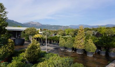 Peyzaj Alanya, Peyzaj Antalya ve Manavgat Peyzaj